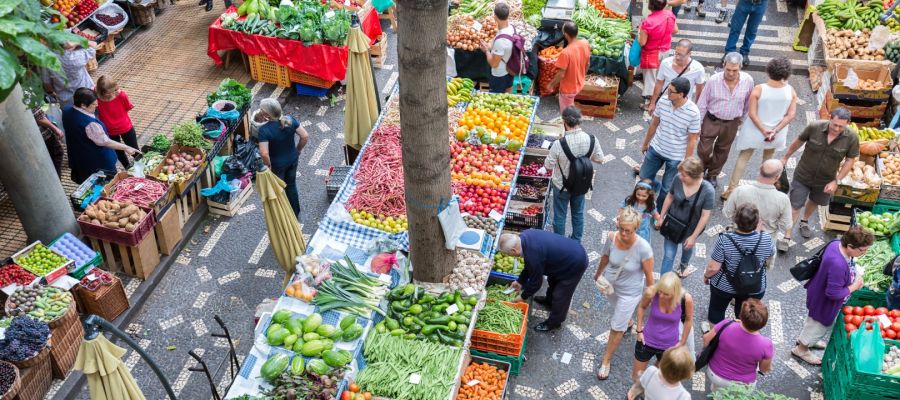 Adventures in Madeira: A Playground for Thrill Seekers