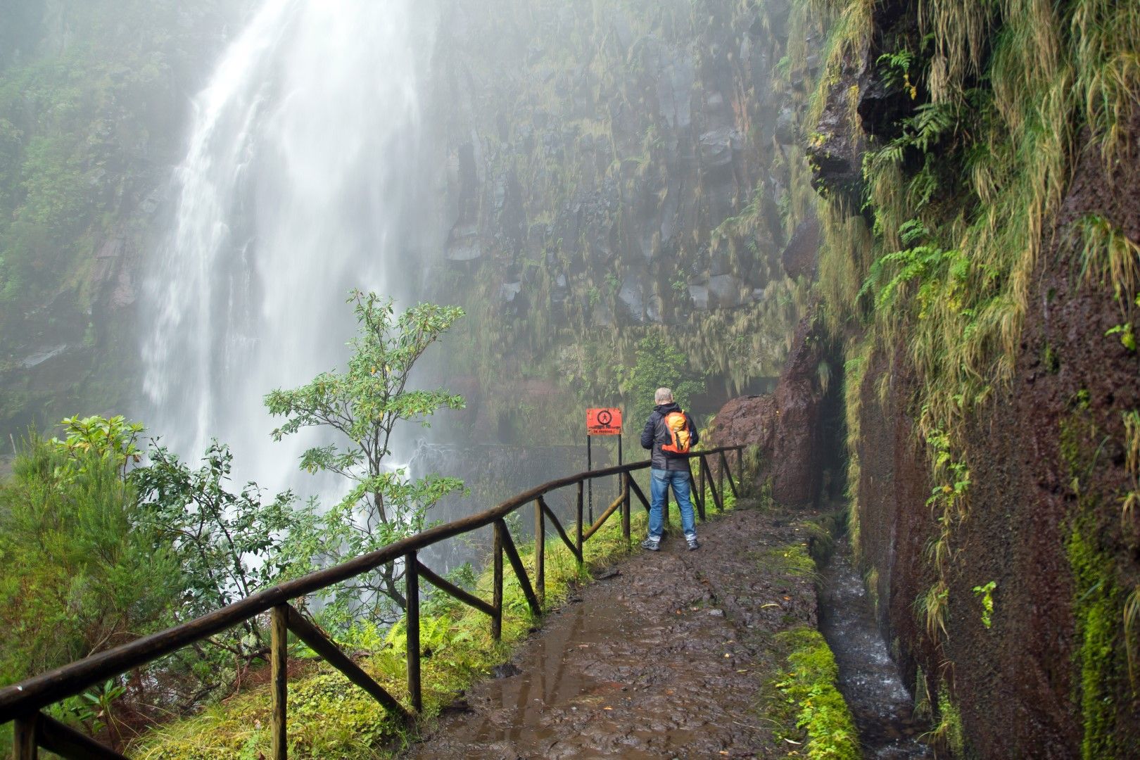 Adventures in Madeira: A Playground for Thrill Seekers