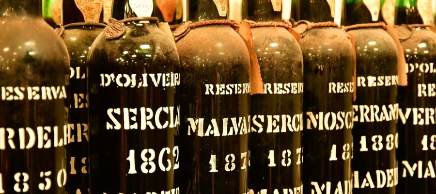 Madeira Island: A Paradise of Diversity