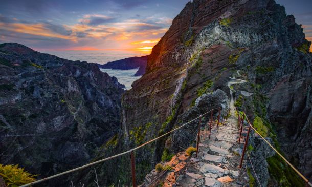 Madeira Island: A Paradise of Diversity