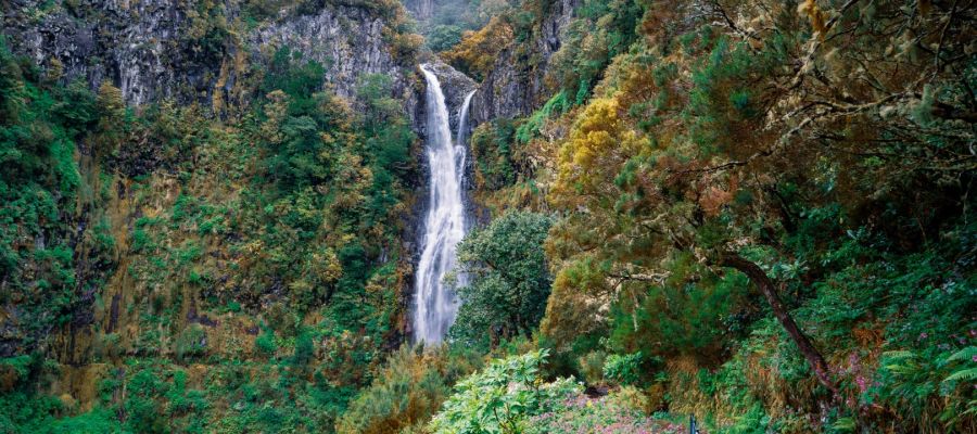 Adventures in Madeira: A Playground for Thrill Seekers