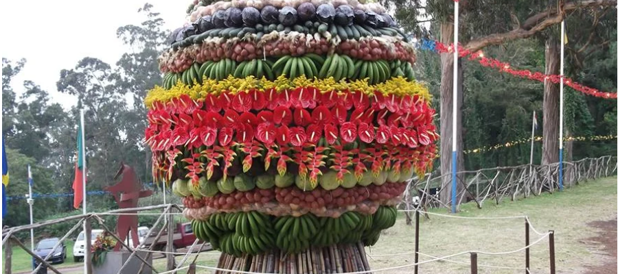 Die sprudelnde Insel: Entdecken Sie Madeiras Volksfeste auf zwei Rädern