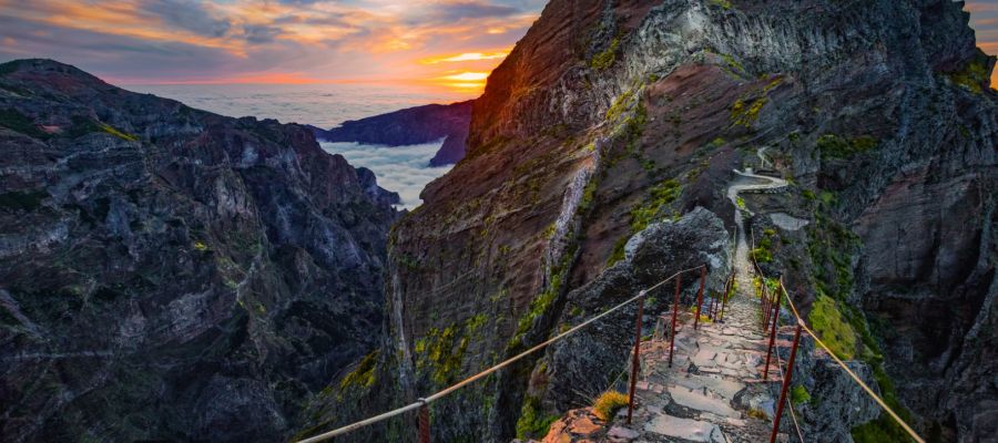 Madeira Island: A Paradise of Diversity