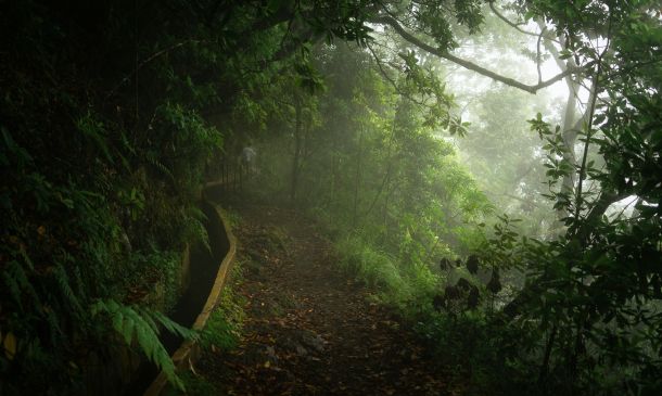 Die besten Jahreszeiten um die Insel Madeira zu besuchen